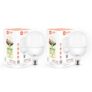 Orient Electric Eternal Shine LED Bulb 30W, B22d Cap, 6500K (Pack of 2)