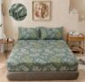 BSB HOME 240 TC Cotton Fitted Double Bedsheet with 2 Pillow Covers, Elastic Bed Sheet, Soft Breathable Skin-Friendly Fabric, All Season Comfort – 72 x 72 + 8 Inches (Sage Green)