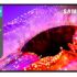 Samsung 43″(1.08m) 4K M7 Vision AI Smart Monitor | UHD 3840 x 2160 | Smart TV Experience with AI Picture & Sound|Type-C|Apple AirPlay|Gaming Bar|Remote|Speakers|Wi-Fi|Bluetooth|LS43FM700UWXXL|Black