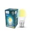 Crompton Laser Ray Neo 24 W LED Batten (Cool Day Light) – (Pack of 1)