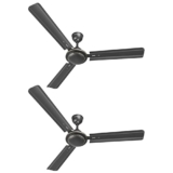 LONGWAY Nexa P2 1200 mm/48 inch Ultra High Speed 3 Blade Anti-Dust Decorative Star Rated Ceiling Fan 2 Years (Smoked Brown, Pack of 2)